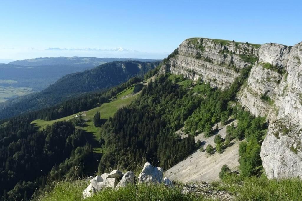 Studio « Le Petit Montagnard » ماليبونسون المظهر الخارجي الصورة